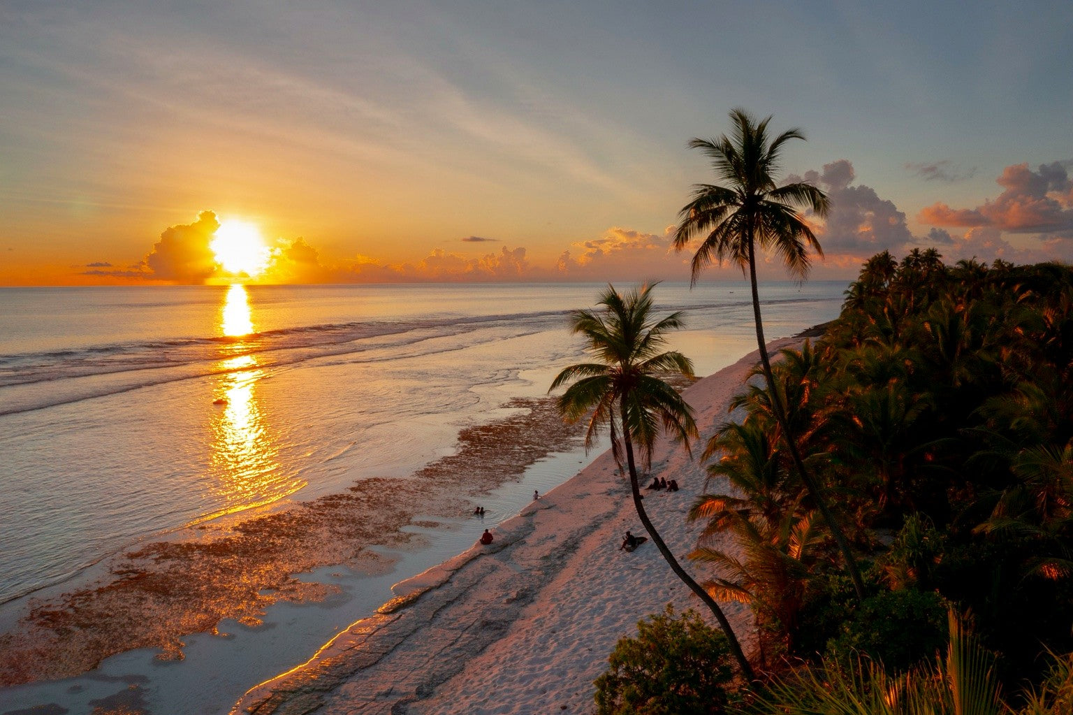 Sunset beach with palm trees